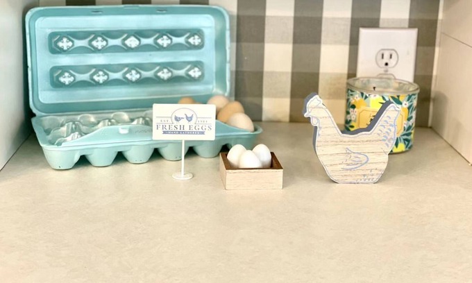 Flowery Branch House | Chick Farm