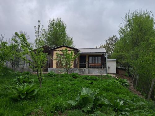 Uzbekistan Apartment | Chimgan say