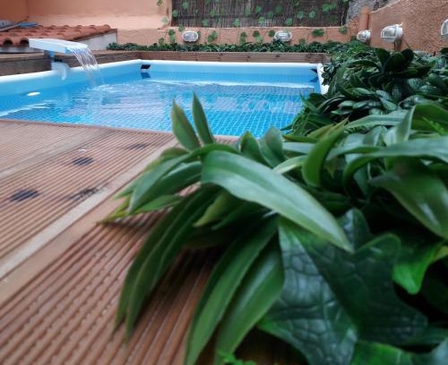 Peristeri Apartment | ChrisAndro Apartments