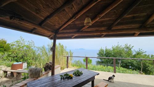 Ischia Villa | Climb to Paradise Ischia - solo per amanti del trekking
