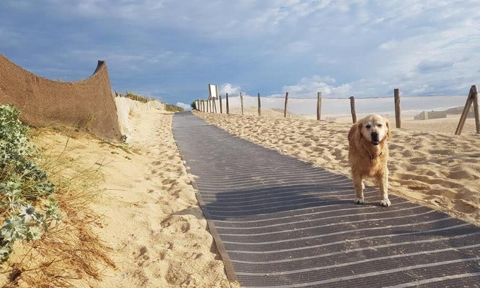 Capbreton Apartment | Cocooning et plages