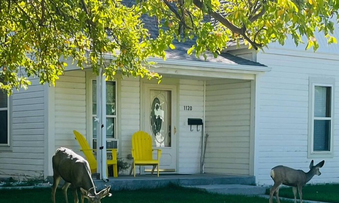 Cody House | Cody Cowboy Cottage