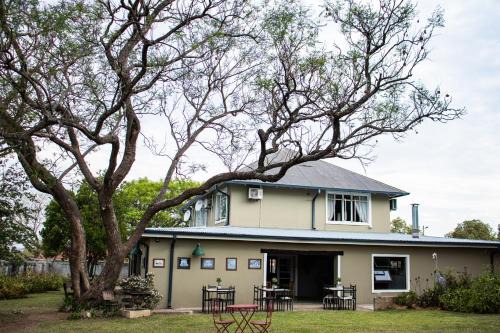 Colenso Bed & Breakfast | Colenso Lodge B&B