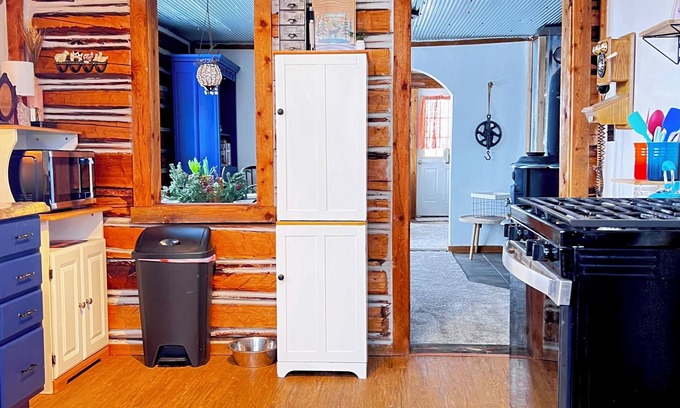 Walden Cabin | Colorado Cabin Escape with picturesque views near trails