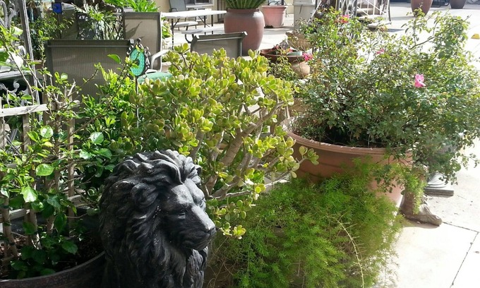 Colusa Hotel | Colusa Riverside Inn