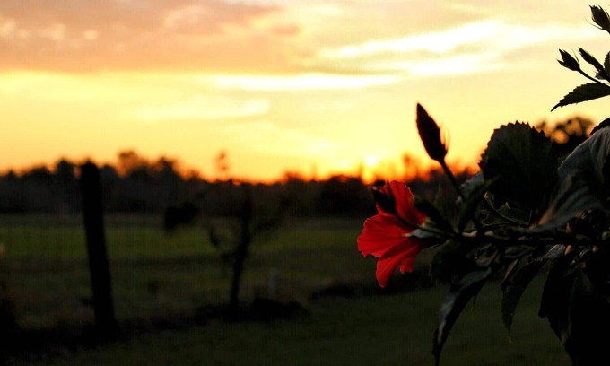 Starke House | Come Live on the farm