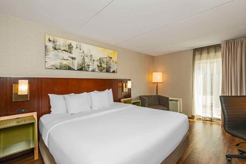 Cambridge Hotel | Comfort Inn