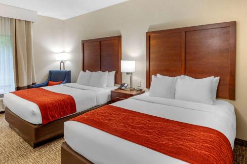 Canton Hotel | comfort & inn Suites