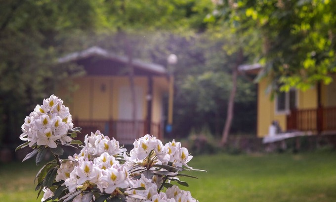 Kamena House | Comfortable Bungalow for two in the Heart of the Forest