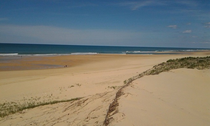 Bias House | Comfortable chalet with private garden 4 km from the ocean in the Landes forest