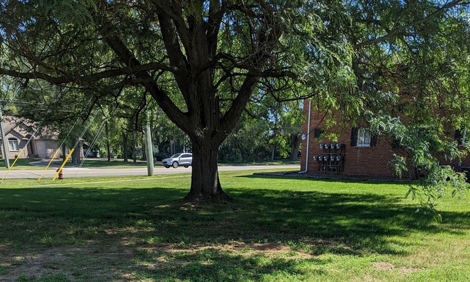 Shelby Township Apartment | Comfy -1 Bedroom Apartment / Shelby Twp, Mi (Apt #2)