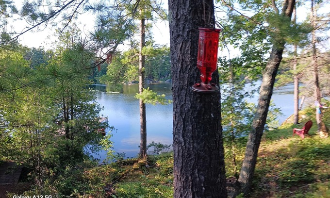 Selwyn Cottage | Comfy 8-person cottage. STONEY LAKE. Kawarthas. Pet friendly. 90 mins Toronto