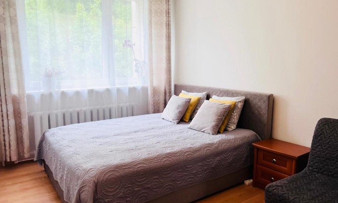 Trakai Apartment | Comfy classic apartment in Trakai