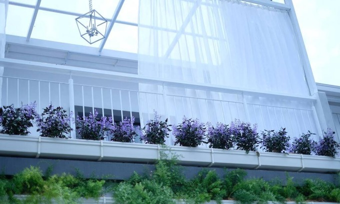 Tanah Rata House | Comfy Sofy 23- Balcony Garden (Night market)