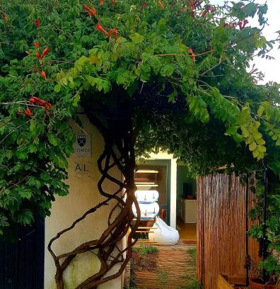 Vila do Conde House | Conde Surf Camp - junto ao mar - entire pvt house