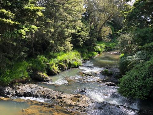 Raglan Cabin | Cone Hill Farmstay - with bush and river walks - 80 sqm self contained