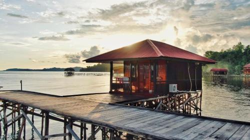 Raja Ampat Resort | Coriana Dive Resort