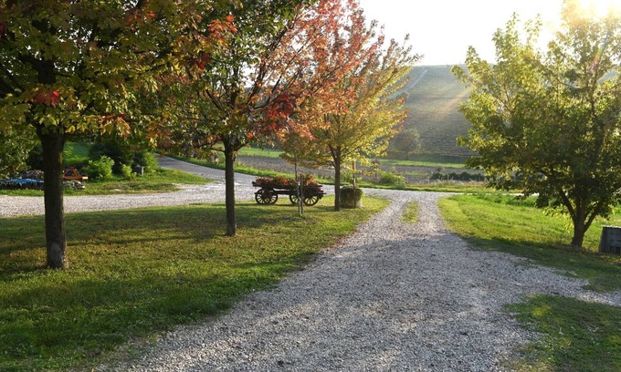 Castiglione Tinella Other | Corner of Paradise among the vineyards
