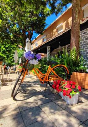 Caldelas House | Corredoura Garden