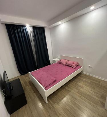 Stefanestii de Jos Apartment | Cosmopolis Single Bedroom Apartment 204