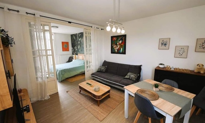 Bagneres-de-Bigorre Apartment | Cosy 2 to 4 person T2 apartment near the center