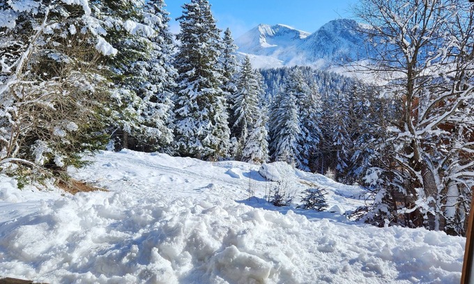 Chamrousse Apartment | Cosy apartment Antlana