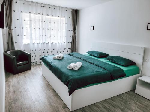 Fagaras Apartment | Cosy apartment Fagaras
