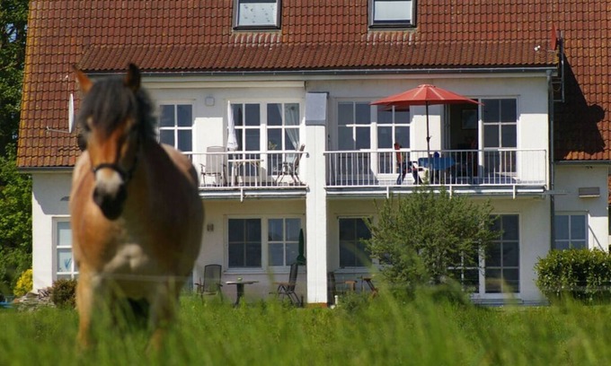 Zudar Apartment | Cosy apartment in Garz