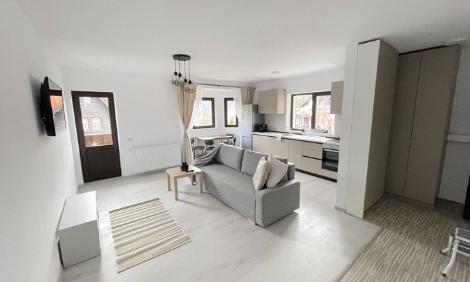 Sinaia Apartment | Cosy & Minimalistic 1 BDR Apartment 4 - Haret Building - near Peles Castle