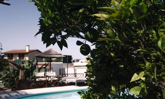 Assafora Apartment | Cosy Mosey (1 bedroom + bathroom and outdoor cooking)
