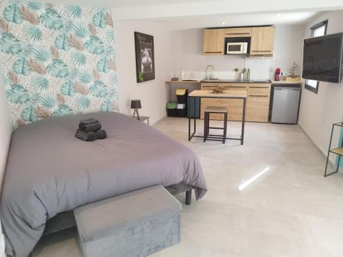 Le Vigan Apartment | Cosy Studio à Le Vigan-en-Quercy, Lot