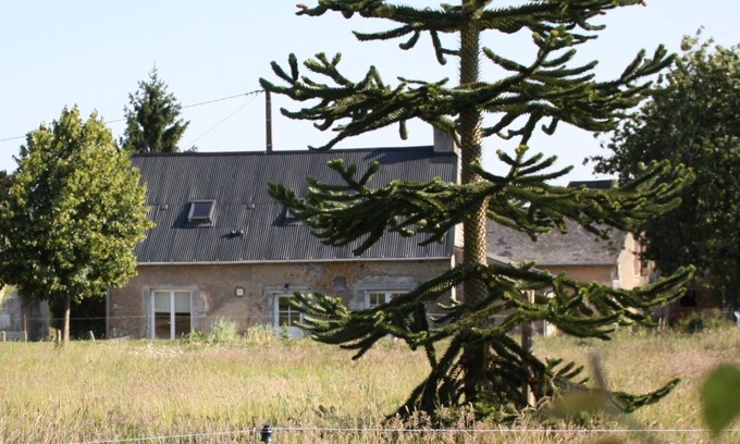 Jupilles House | Cottage 6/8 pers. Jupilles, 50m zoo of the Arrow, 30 minutes from Le Mans, Bercé forest .