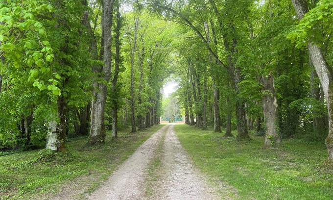 Princay Cottage | Cottage Dans un Bain de Verdure Avec Arbres Magestieux .idéal Pour les Familles