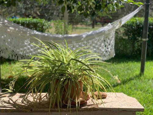 San Pietro House | Cottage Dell' Ulivo