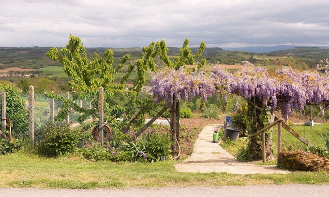 Chateauneuf-de-Galaure House | Cottage Les Figues 2