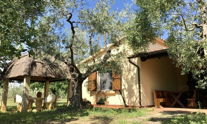 Cecina House | Cottage I Ciliegi with fenced garden