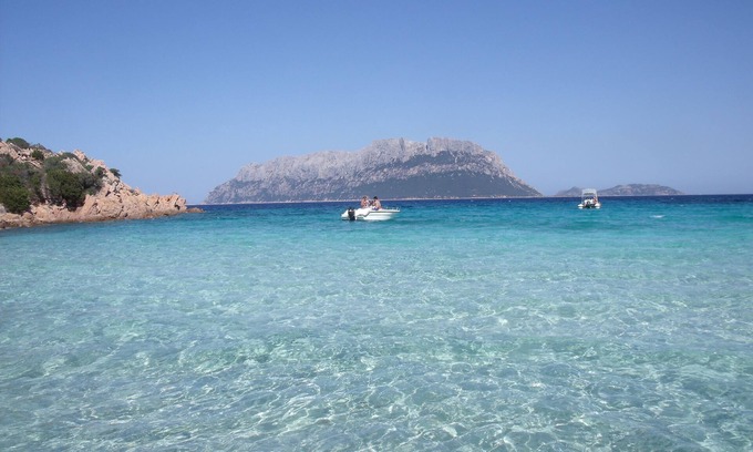 Lu Lioni House | Cottage in the green San Teodoro