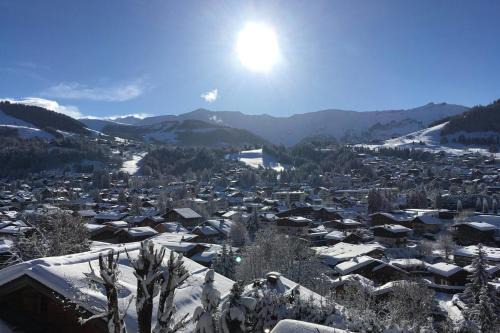 Megeve Ski Chalet | Cottage T7 with garden on the snow front