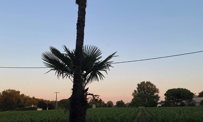 Moulis-en-Medoc House | Country house in the heart of the Médoc vineyards with a spa!