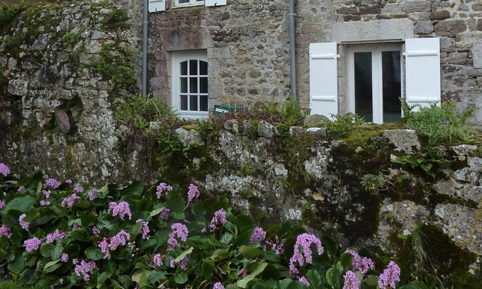 Regnezville-sur-Mer Cottage | Country stone house near the harbor of Regnéville sur mer