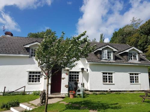 Mawr House | Coynant Farm Guesthouse - Farm Park Stay