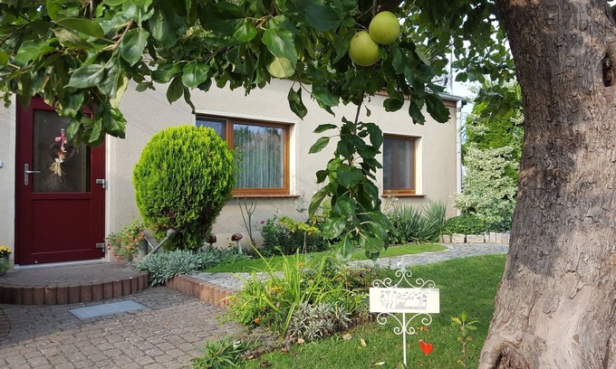 Neustrelitz Apartment | Cozy apartment in the residential town of Neustrelitz