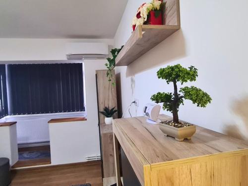Bacau Apartment | Cozy Apartment- zona centrala