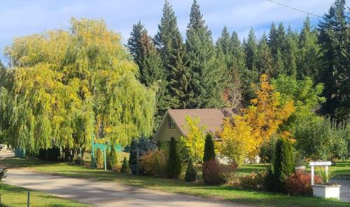 Tappen Ski Chalet | Cozy Cabin, 2 min to the HWY1