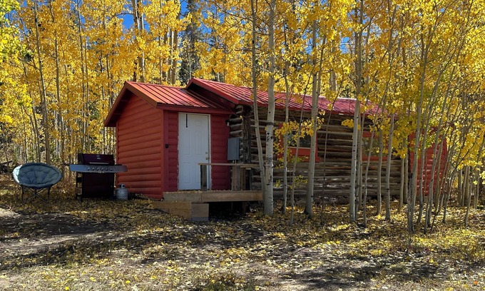 Walden Cabin | Cozy cabin in charming CO mountains near the WY boarder