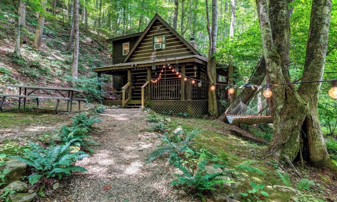 Roan Mountain Cabin | Cozy Cabin in the Woods Hammock Private
