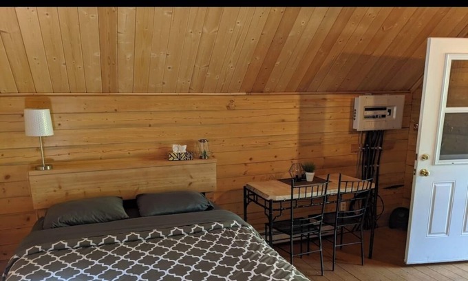 Clearwater Cabin | Cozy Cabin near Wells Gray