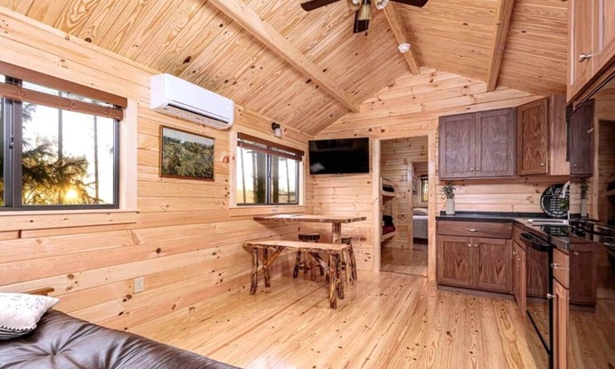 Hector Cabin | Cozy Cabin on Seneca Wine Trail Vineyard View 5