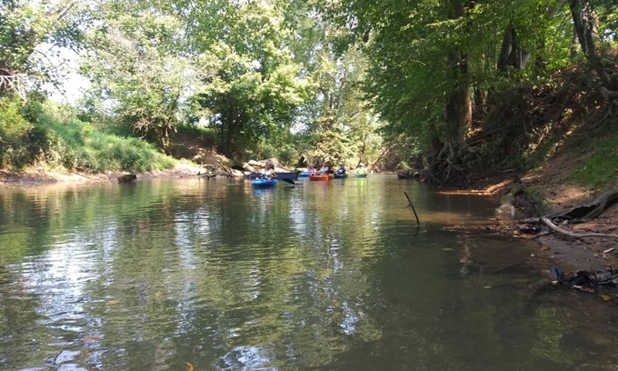 Hudson Cabin | Cozy Cabin with AC/WIFI in Big Clifty on Rough River