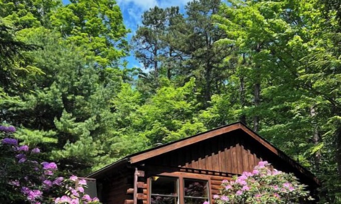 New Paltz Cabin | Cozy cabin with Mohonk Preserve access, wifi, AC, and adjacent studio building
